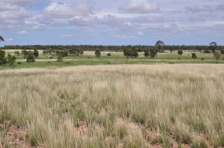 Fifth view of Homely rural property listing, 0" Euligal" Euligal Lane, Condobolin NSW 2877