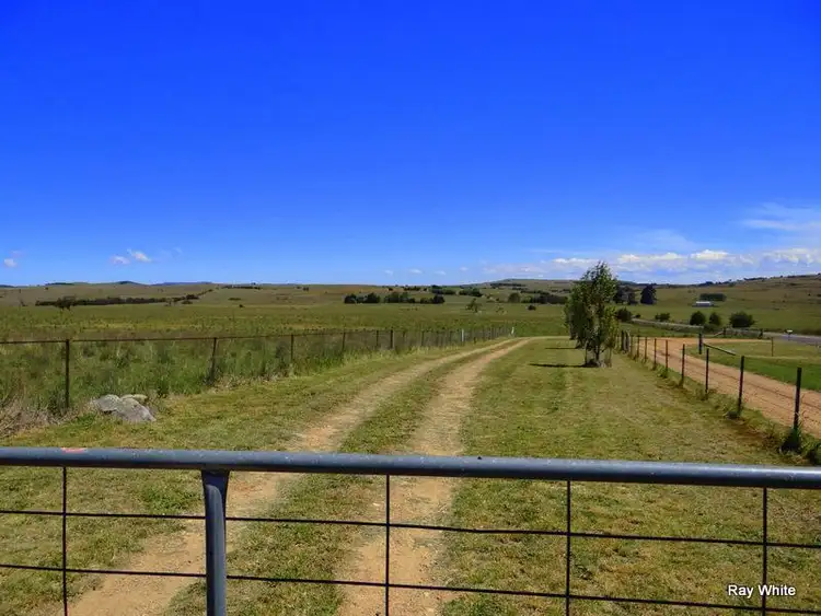 Seventh view of Homely rural property listing, 10315 Nerriga Road, Braidwood NSW 2622