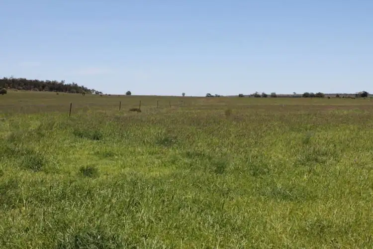 Sixth view of Homely rural property listing, 4895 TEELBA Road, Glenmorgan QLD 4423