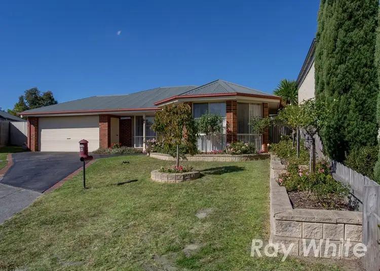 41 Callum Avenue, Somerville VIC 3912