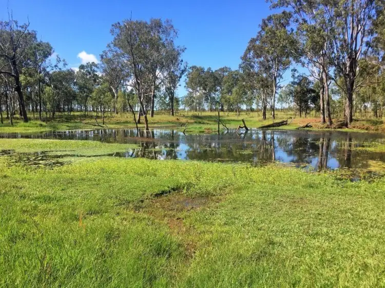 Sixth view of Homely rural property listing, Address available on request