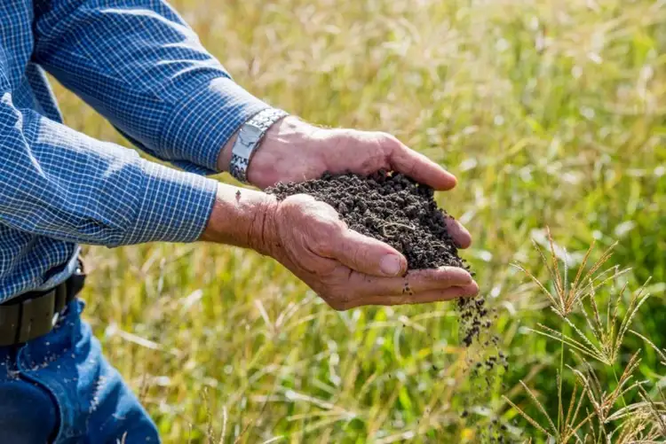 Third view of Homely rural property listing, "Spring Creek" 281 Boat Mountain Road, Murgon QLD 4605