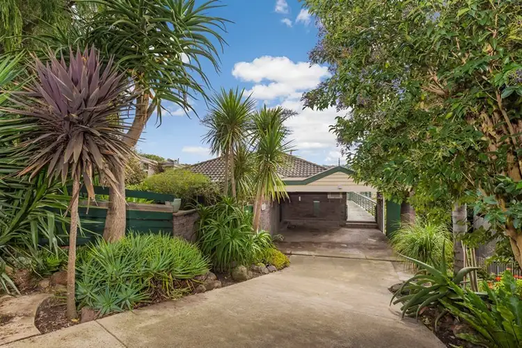 24 Victoria Terrace, Belmont VIC 3216
