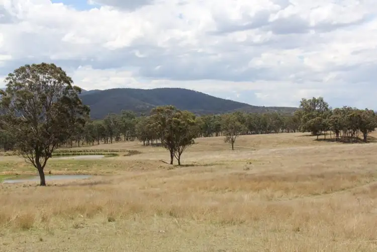 Seventh view of Homely rural property listing, 2461 Bruxner Way, Tenterfield NSW 2372
