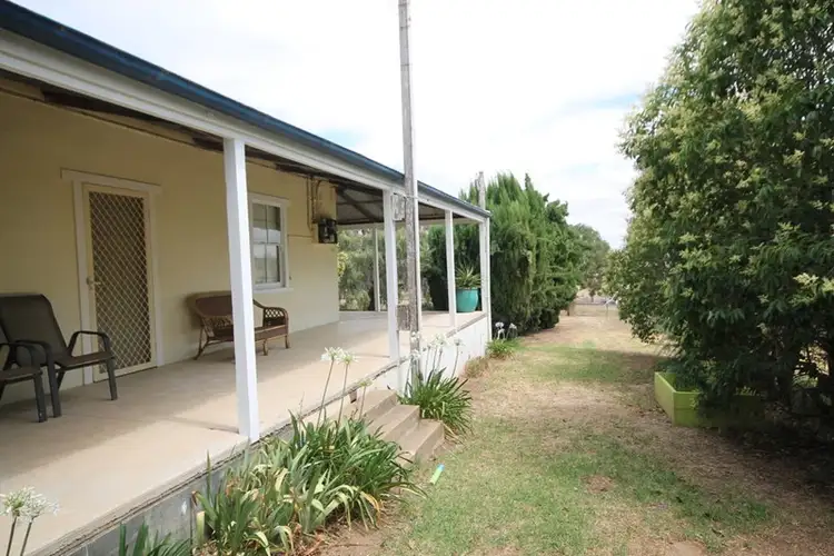 Main view of Homely house listing, 39 Wickham Lane, Young NSW 2594