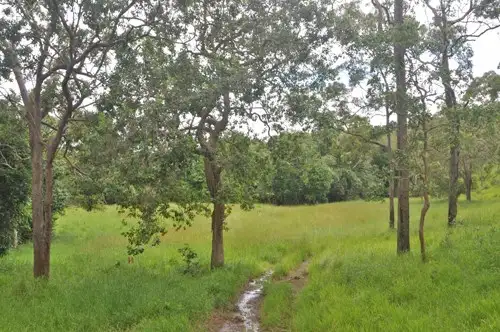 Main view of Homely rural property listing, Address available on request