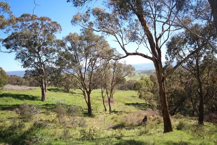 Sixth view of Homely rural property listing, 982 Lowes Mt Road, Oberon NSW 2787