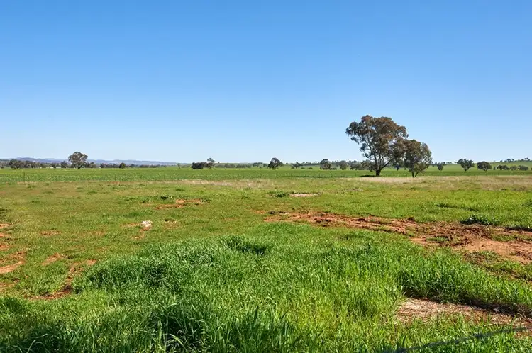 Third view of Homely land listing, 1509 Olympic Highway, Brucedale NSW 2650