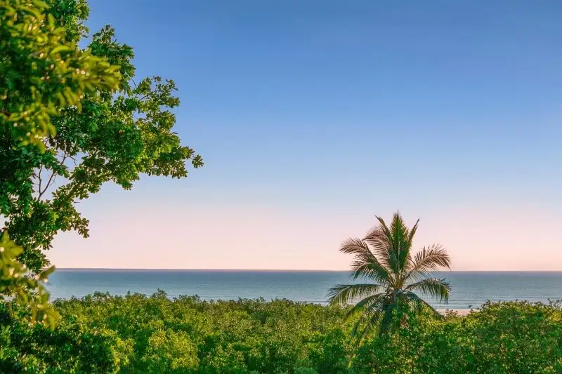 Main view of Homely apartment listing, 9/4 Giuseppe Court, Coconut Grove NT 810