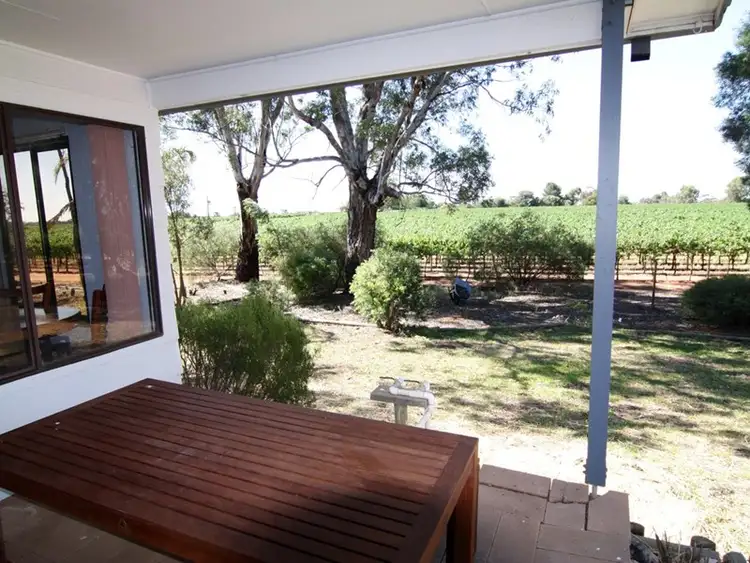 Seventh view of Homely house listing, 323 Costello Road, Loveday SA 5345