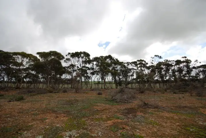 Fifth view of Homely land listing, Lot 13 Kulin-Dudinin, Dudinin WA 6363