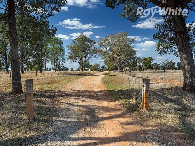Main view of Homely house listing, 7920 Riverina Highway, Corowa NSW 2646