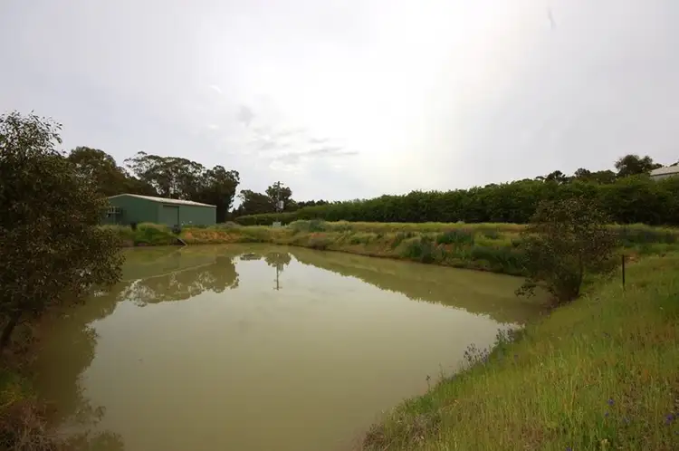 Second view of Homely rural property listing, Farm 1777 Narrandera Road, Cudgel NSW 2700