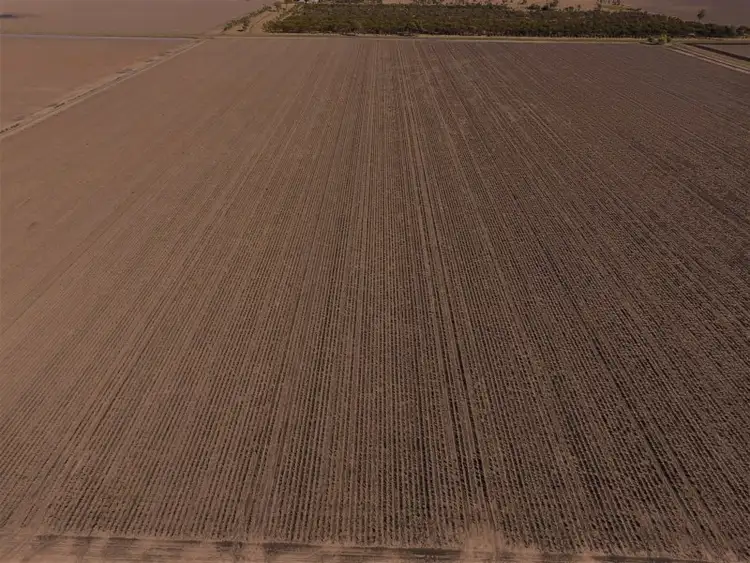 Fifth view of Homely rural property listing, 191 NEWTON STEPHEN Road, Bowenville QLD 4404