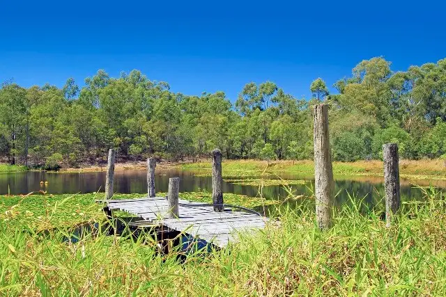 Third view of Homely house listing, 289 Bondoola Road, Bondoola QLD 4703
