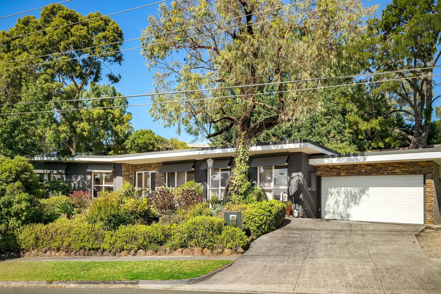 Main view of Homely house listing, 222 Greenslopes Drive, Templestowe Lower VIC 3107