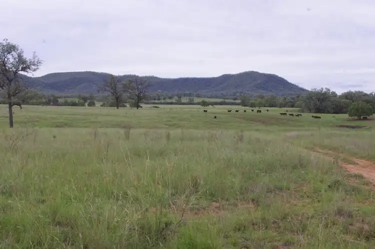 Sixth view of Homely rural property listing, 2000 'Bronco' Elcombe Road, Bingara NSW 2404