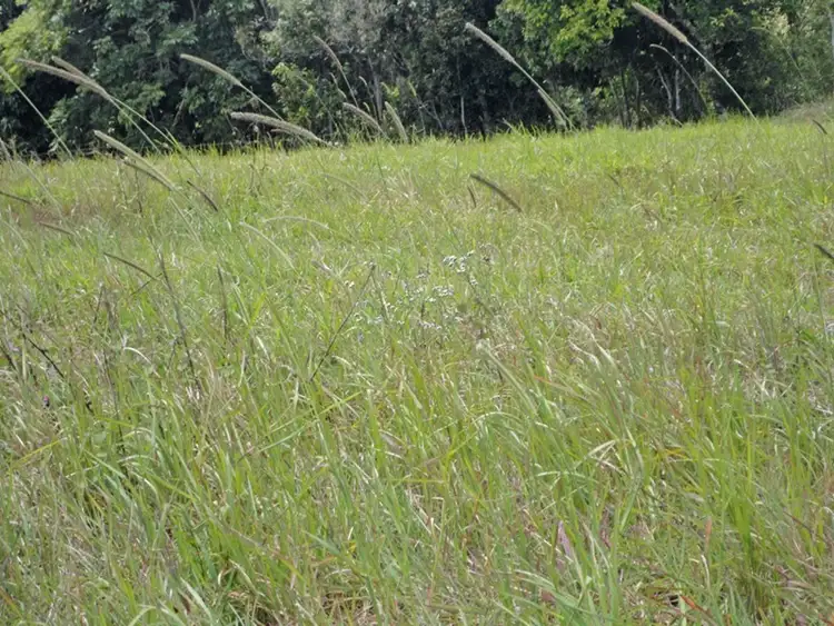 Fifth view of Homely land listing, Address available on request