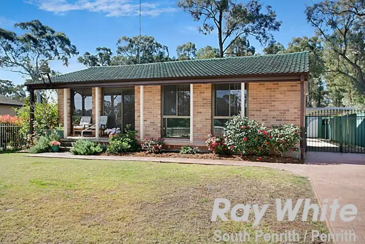 Main view of Homely house listing, 41 Pelsart Avenue, Willmot NSW 2770