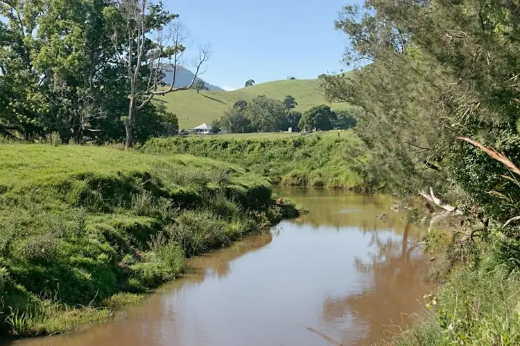 Seventh view of Homely rural property listing, 603 Numinbah Road, Crystal Creek NSW 2484