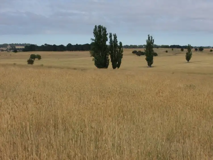 Third view of Homely rural property listing, 627 Vittoria Road, Millthorpe NSW 2798