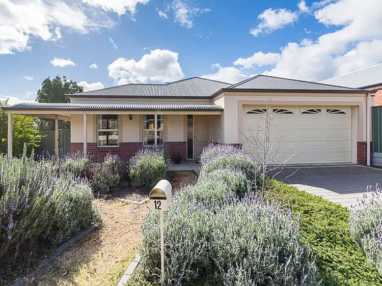 Main view of Homely house listing, 12 Oxford Street, Murray Bridge SA 5253