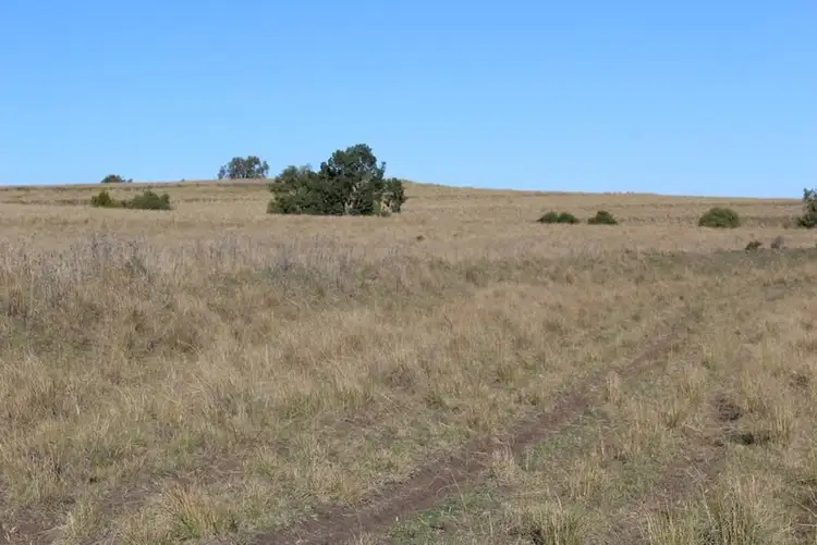 Second view of Homely rural property listing, '' Mindah, Warialda NSW 2402