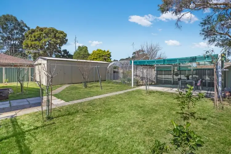 Sixth view of Homely house listing, 25 Colonial Drive, Bligh Park NSW 2756
