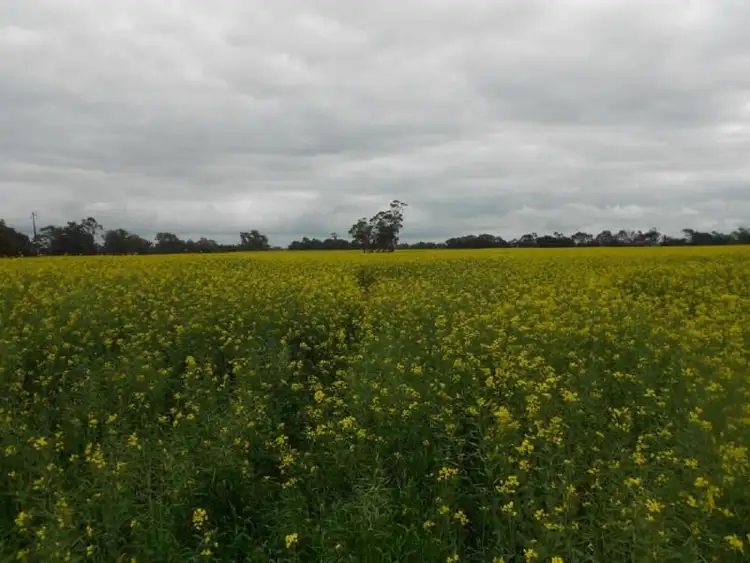 Fifth view of Homely rural property listing, Lot 275 Pitcher Lane, Bordertown SA 5268