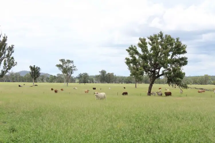 Seventh view of Homely rural property listing, 980 Monto-Mount Perry Road, Monto QLD 4630