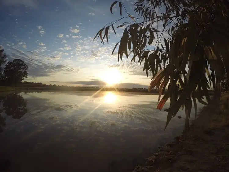 "Pine flash" Sandhills Road, Forbes NSW 2871