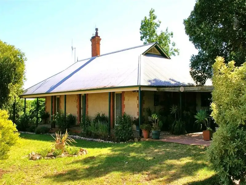 Main view of Homely house listing, 164 Tarcoola Street, Renmark SA 5341
