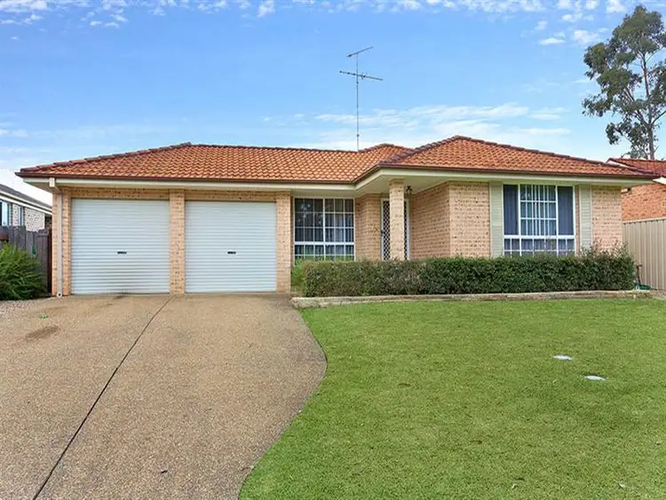 Main view of Homely house listing, 24 Alex Place, Bligh Park NSW 2756