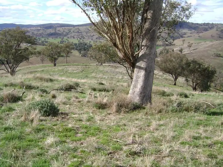 Sixth view of Homely rural property listing, Lot 50 Pride of Oak Road, Canowindra NSW 2804