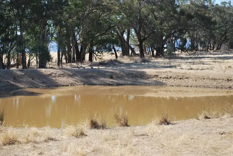 Third view of Homely rural property listing, Top Paddock Rae Road, Murmungee VIC 3747