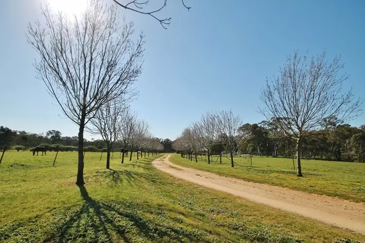 Fifth view of Homely house listing, 28 Levetts Road, Young NSW 2594