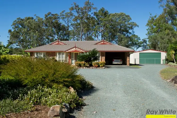Main view of Homely house listing, 137- 139 Smiths Road, Elimbah QLD 4516