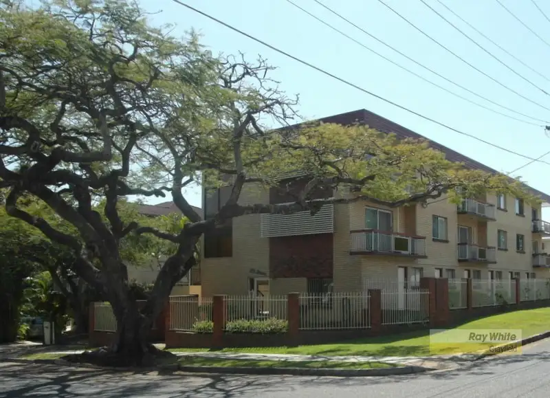 Main view of Homely block of units listing, 29 Franz Road, Clayfield QLD 4011