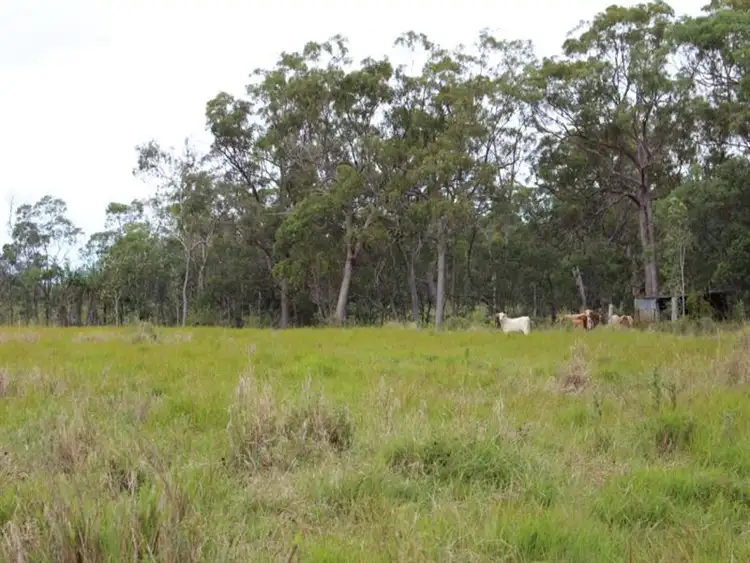 Fifth view of Homely rural property listing, 866 Riley Road, Koumala QLD 4738