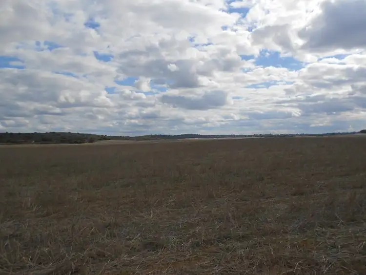Fourth view of Homely rural property listing, 1028 Ladara Bore Road, Ki Ki SA 5261