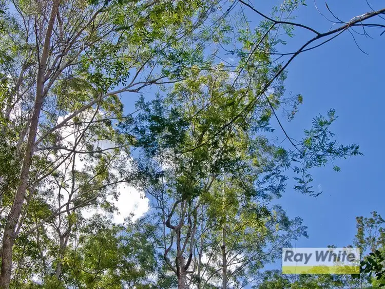 Sixth view of Homely land listing, Lot 27 Masseys Creek Court, Cedar Creek QLD 4520