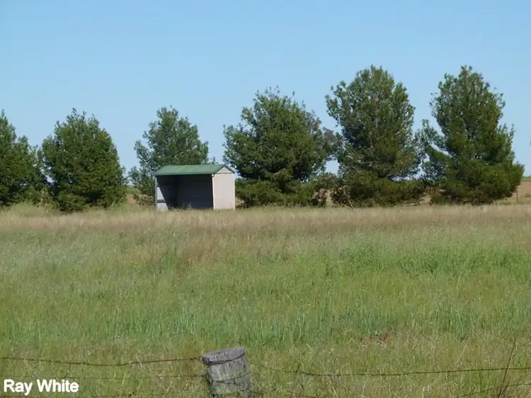 Third view of Homely land listing, 331A Calarie Road, Forbes NSW 2871