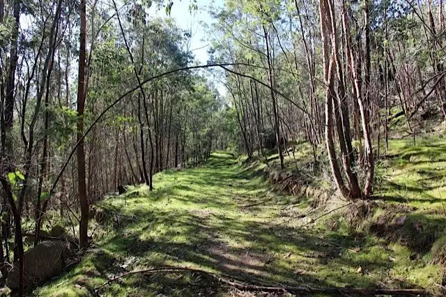 Fifth view of Homely rural property listing, CA 11 Switchback Road, Mudgegonga VIC 3737