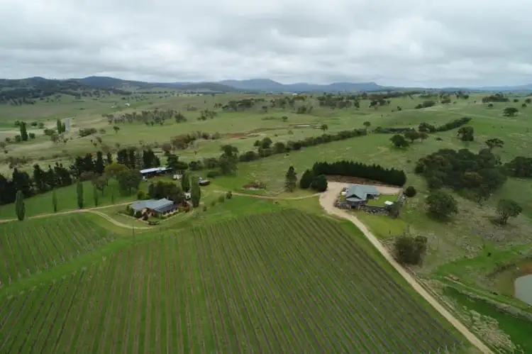 Second view of Homely rural property listing, 11812 Bruxner Highway, Tenterfield NSW 2372