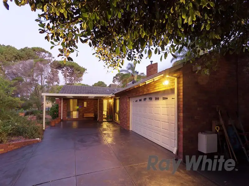 Main view of Homely house listing, 16 Buckingham Crescent, Kardinya WA 6163