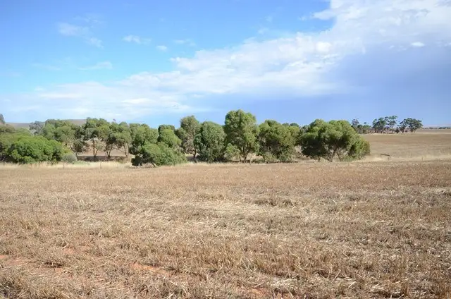 Sixth view of Homely rural property listing, Lot 446 Carmody Road, Leighton SA 5417