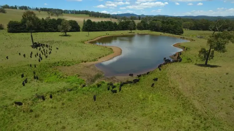 Third view of Homely rural property listing, Glen Alvie 11494 Waterfall Way, Ebor NSW 2453