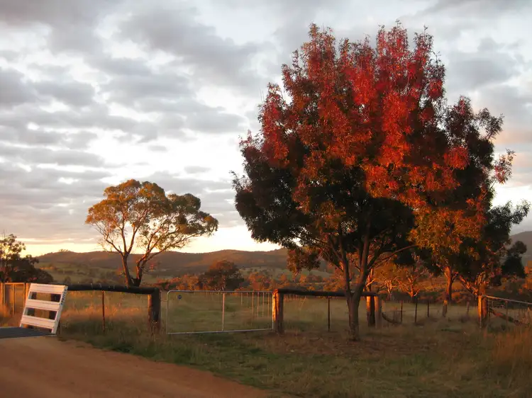 Main view of Homely rural property listing, Address available on request