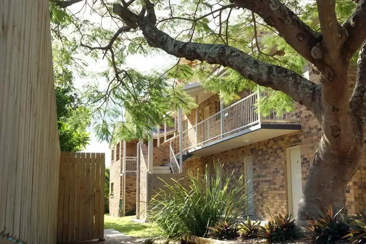 Second view of Homely apartment listing, 3/50 Douglas Street, Greenslopes QLD 4120
