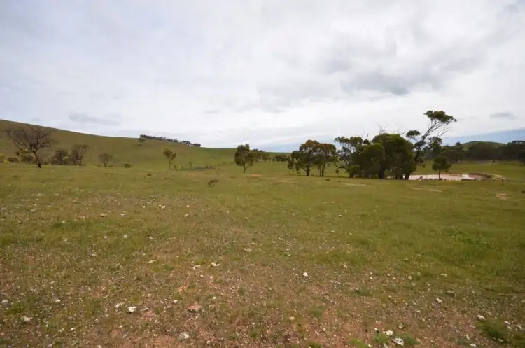 Fifth view of Homely rural property listing, 25C Rifle Butts Road, Landsborough VIC 3384